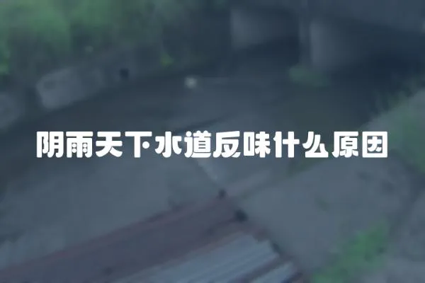 陰雨天下水道反味什么原因