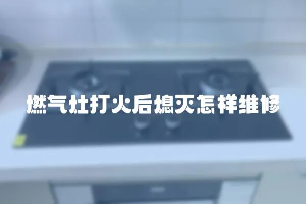 燃?xì)庠畲蚧鸷笙缭鯓泳S修