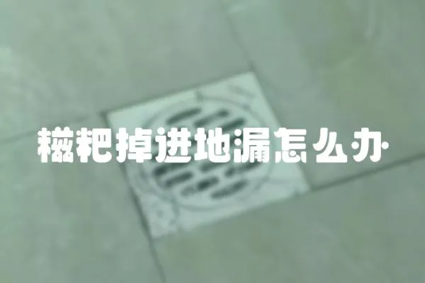 糍粑掉進地漏怎么辦