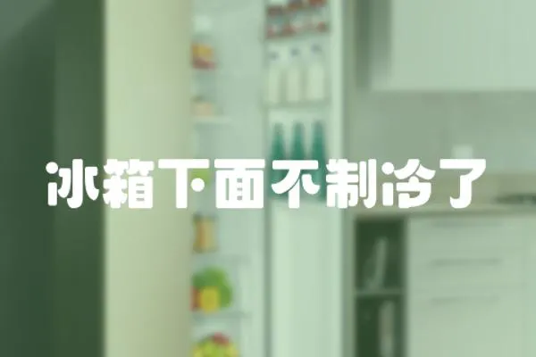 冰箱下面不制冷了