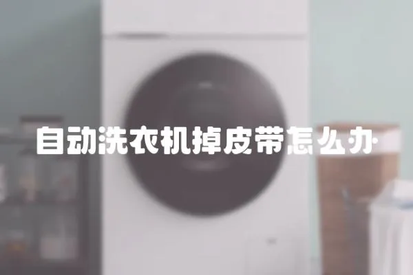 自動洗衣機掉皮帶怎么辦