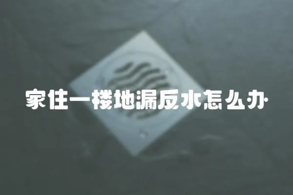 家住一樓地漏反水怎么辦