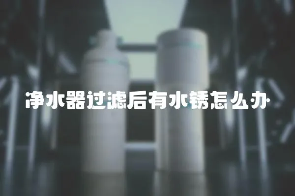 凈水器過(guò)濾后有水銹怎么辦