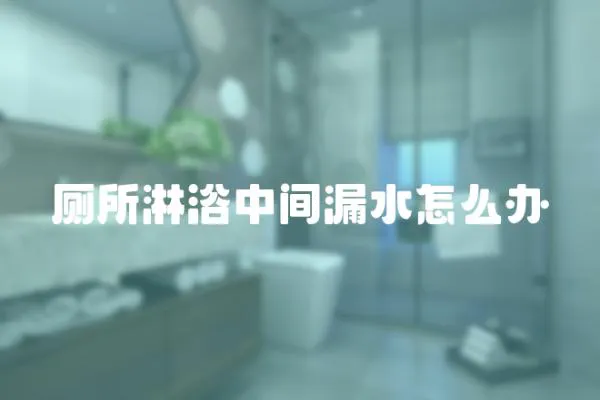 廁所淋浴中間漏水怎么辦