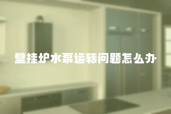 壁掛爐水泵運轉問題怎么辦