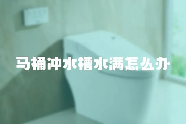 馬桶沖水槽水滿怎么辦