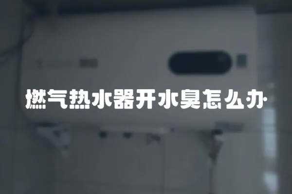燃氣熱水器開水臭怎么辦