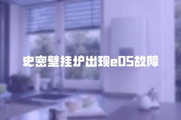 史密壁挂炉出现e05故障