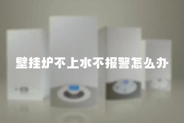 壁掛爐不上水不報警怎么辦