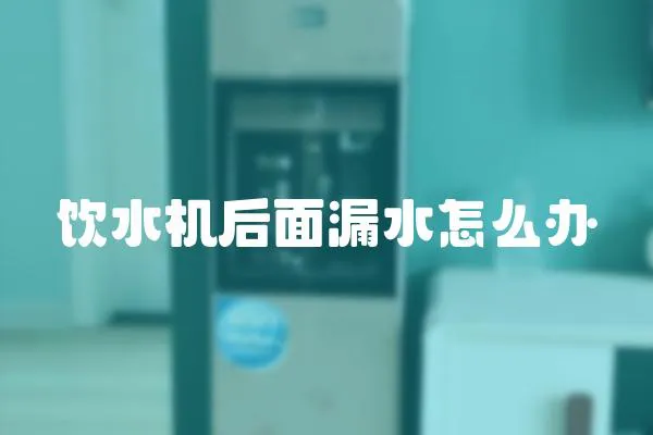 飲水機后面漏水怎么辦
