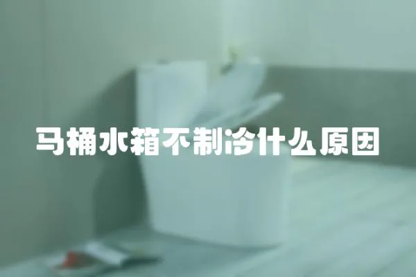 馬桶水箱不制冷什么原因