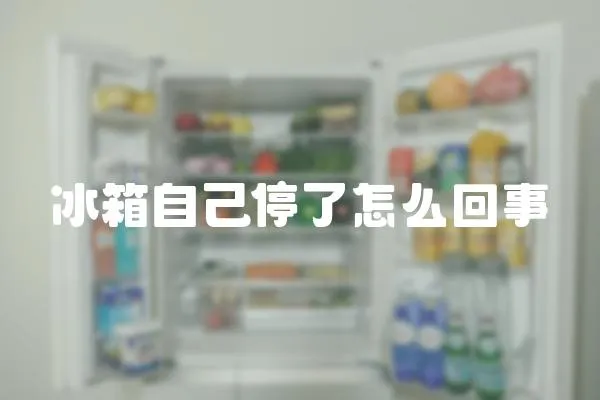 冰箱自己停了怎么回事