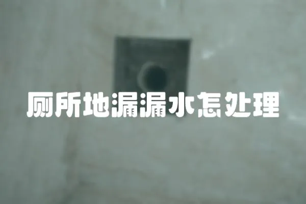 廁所地漏漏水怎處理