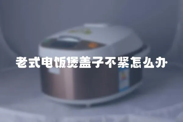 老式電飯煲蓋子不緊怎么辦