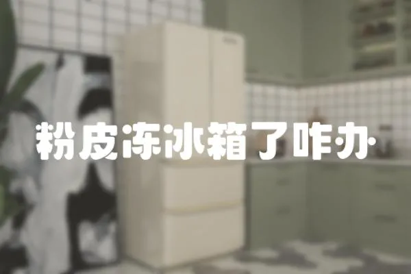 粉皮凍冰箱了咋辦
