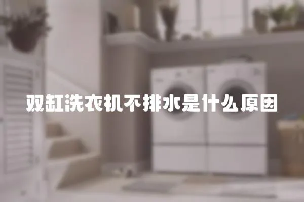 雙缸洗衣機不排水是什么原因