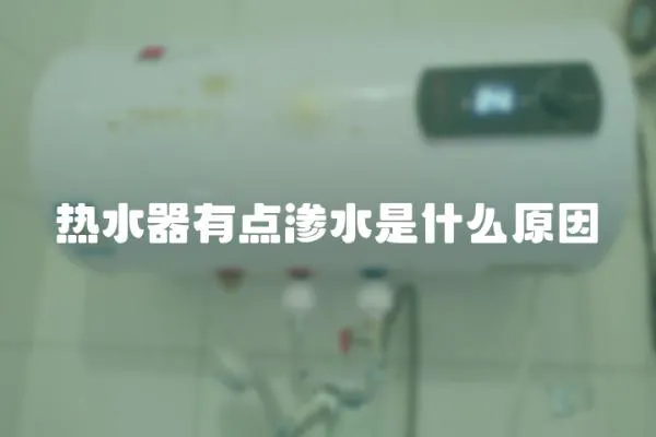 熱水器有點滲水是什么原因