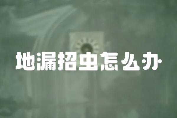 地漏招蟲怎么辦