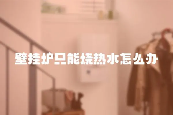 壁掛爐只能燒熱水怎么辦