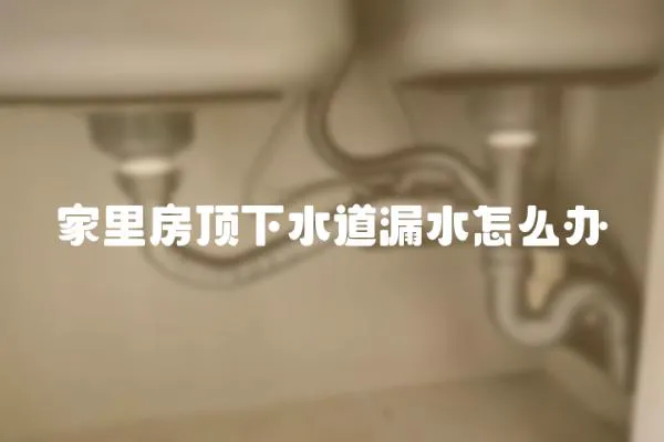 家里房顶下水道漏水怎么办