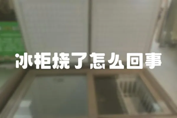 冰柜燒了怎么回事