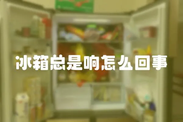冰箱總是響怎么回事