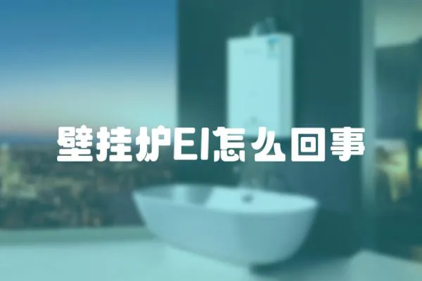 壁掛爐EI怎么回事