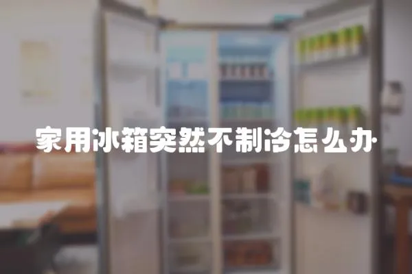 家用冰箱突然不制冷怎么辦