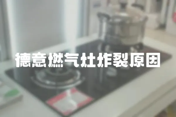 德意燃氣灶炸裂原因