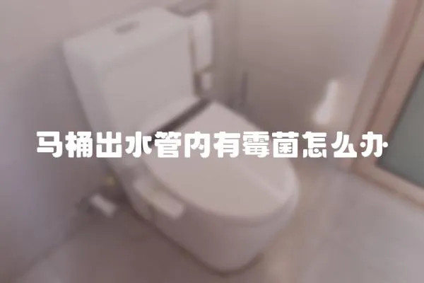 馬桶出水管內有霉菌怎么辦