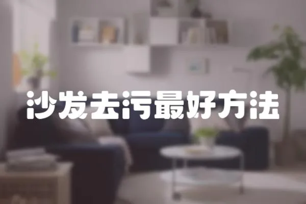 沙發(fā)去污最好方法