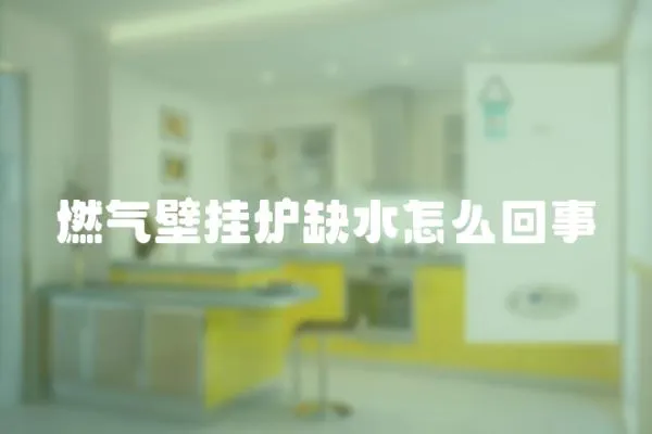 燃?xì)獗趻鞝t缺水怎么回事