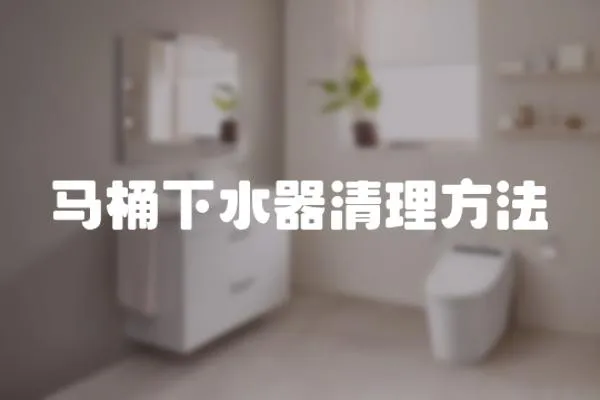 馬桶下水器清理方法