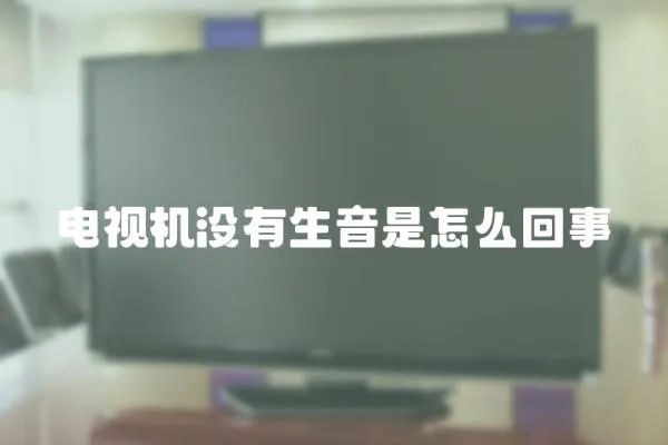 電視機沒有生音是怎么回事