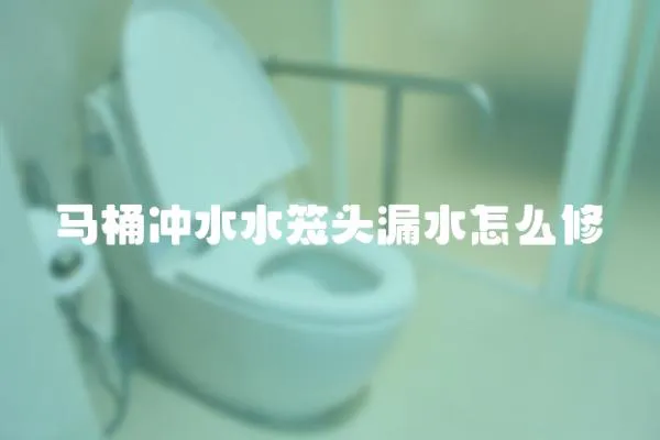 馬桶沖水水籠頭漏水怎么修