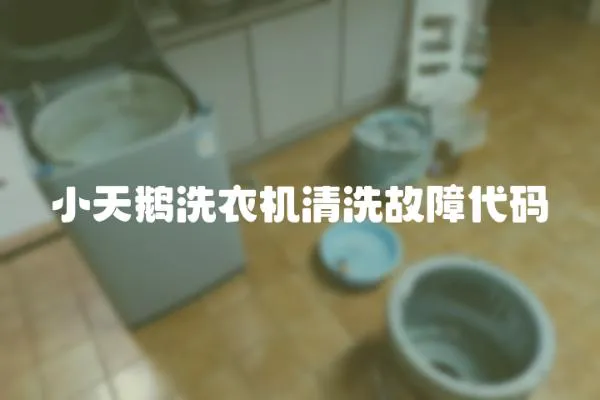 小天鵝洗衣機清洗故障代碼