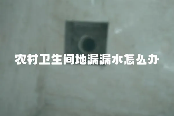 農村衛生間地漏漏水怎么辦