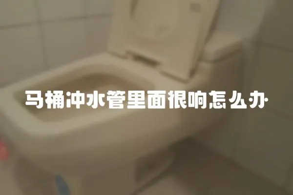 馬桶沖水管里面很響怎么辦