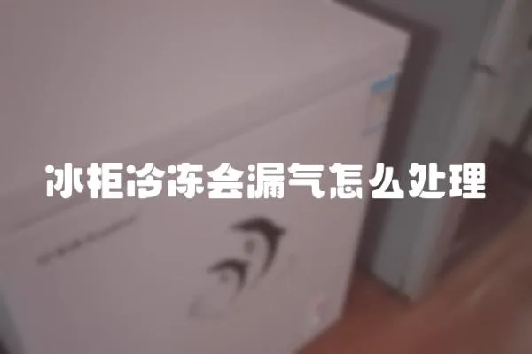 冰柜冷凍會漏氣怎么處理