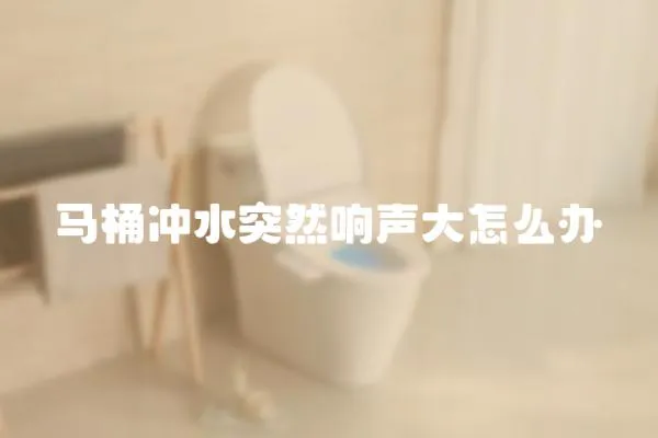 马桶冲水突然响声大怎么办