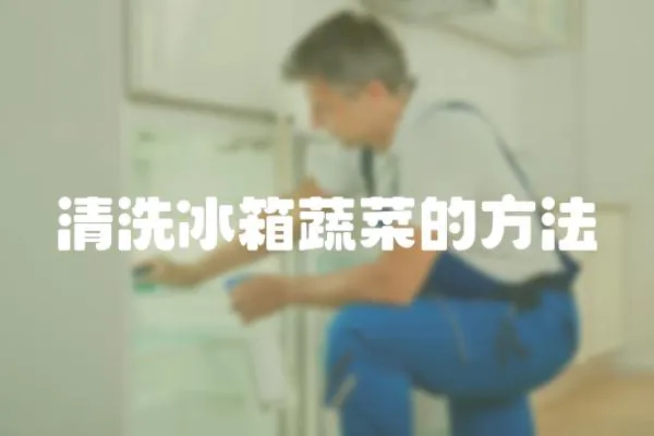 清洗冰箱蔬菜的方法