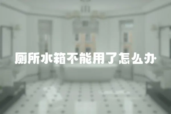 廁所水箱不能用了怎么辦