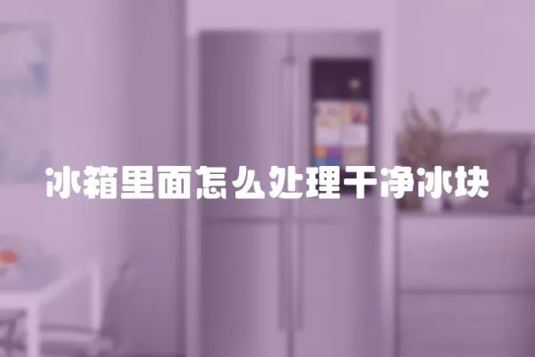 冰箱里面怎么處理干凈冰塊