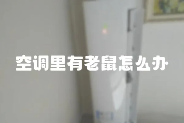 空調(diào)里有老鼠怎么辦