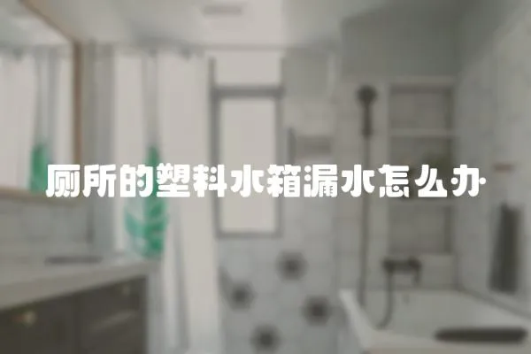 廁所的塑料水箱漏水怎么辦