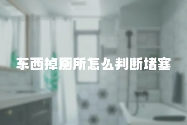 東西掉廁所怎么判斷堵塞