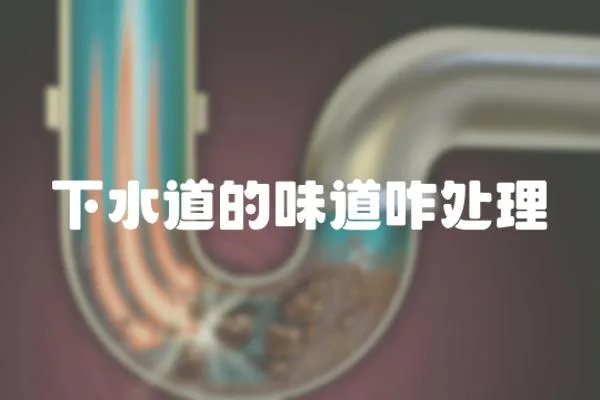 下水道的味道咋處理