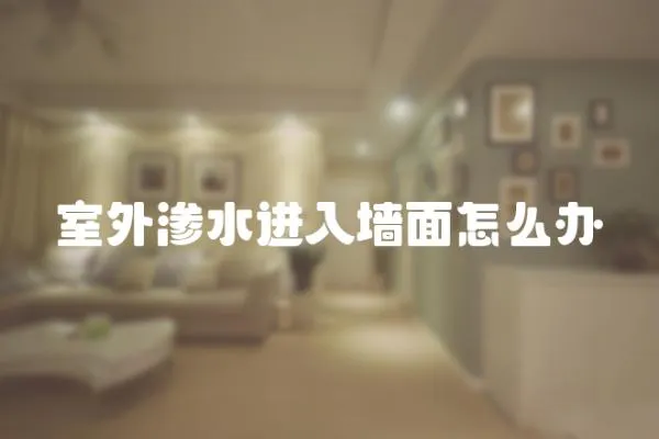 室外滲水進入墻面怎么辦