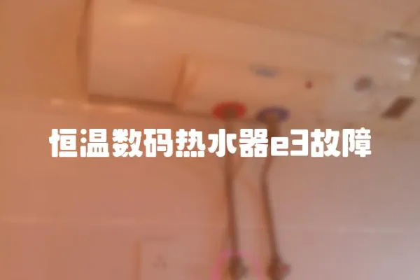恒溫?cái)?shù)碼熱水器e3故障