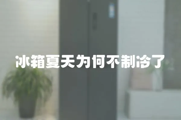 冰箱夏天為何不制冷了